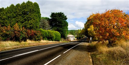 simsearch:400-04436530,k - Country Road in Autumn Stock Photo - Budget Royalty-Free & Subscription, Code: 400-04063675