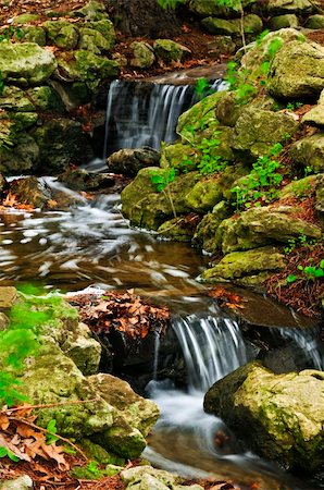 stream in garden - Creek with small waterfalls in japanese zen garden Stock Photo - Budget Royalty-Free & Subscription, Code: 400-04071349