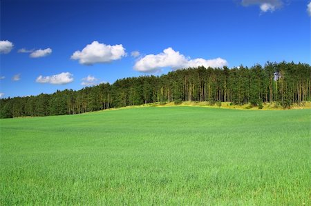simsearch:400-03991406,k - summer country view with fields and forest Stock Photo - Budget Royalty-Free & Subscription, Code: 400-04072438