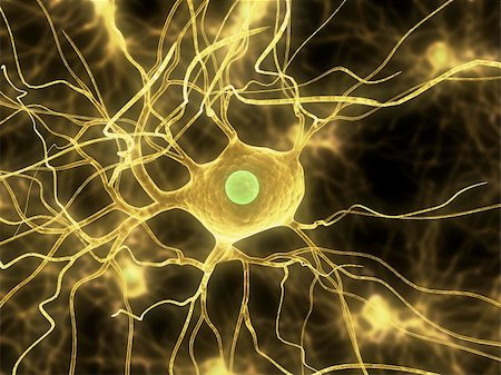 3d rendered close up of an isolated nerve cell Stock Photo - Budget Royalty-Free & Subscription, Code: 400-04081646