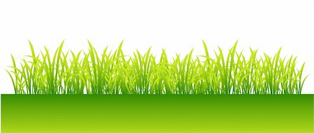 simsearch:400-04597010,k - Spring, green grass for your design Stock Photo - Budget Royalty-Free & Subscription, Code: 400-04094696