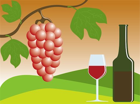 simsearch:846-05647552,k - vector illustration of ripe grapes and wine Stock Photo - Budget Royalty-Free & Subscription, Code: 400-04096862