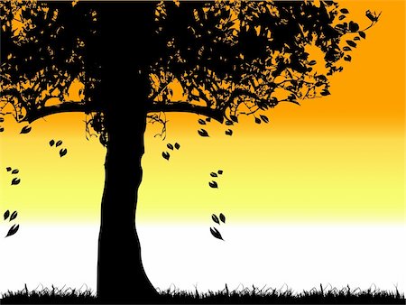 simsearch:400-04595330,k - Tree silhouette old, grass, summer Stock Photo - Budget Royalty-Free & Subscription, Code: 400-04098946