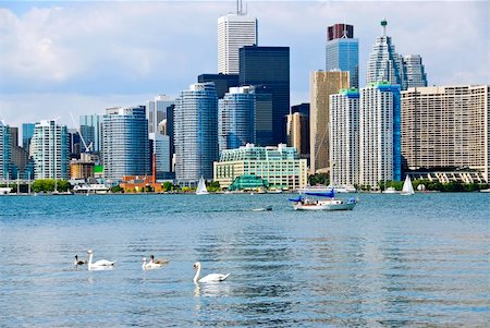 simsearch:400-04198862,k - Toronto harbor skyline with skyscrapers sailboat and swans Stock Photo - Budget Royalty-Free & Subscription, Code: 400-04093795
