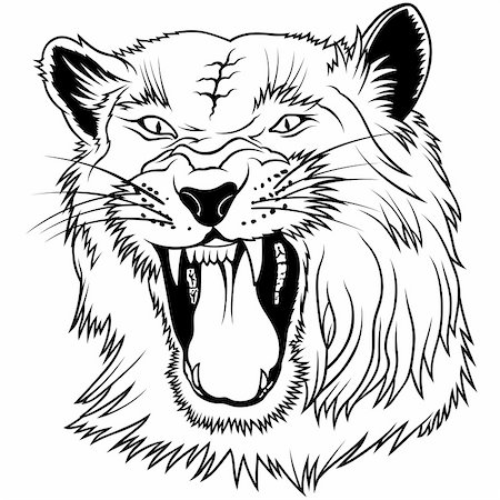 simsearch:400-04109301,k - Wild Big Cat - black outline illustration as vector Stock Photo - Budget Royalty-Free & Subscription, Code: 400-04109301