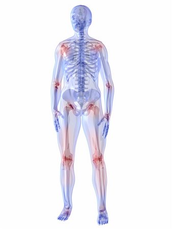 3d rendered illustration of a human skeleton with highlighted joints Stock Photo - Budget Royalty-Free & Subscription, Code: 400-04103560