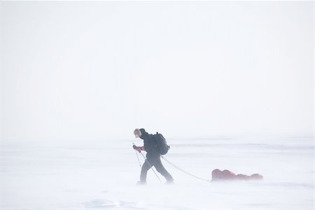 A single person on a winter expedition in a snow storm Stock Photo - Budget Royalty-Free & Subscription, Code: 400-04116626