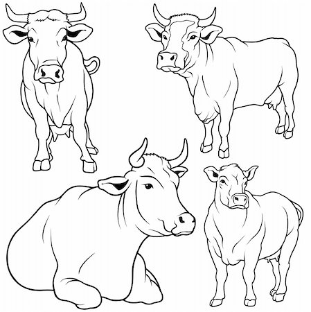 Cow Set 05 - black hand drawn illustration as vector Stock Photo - Budget Royalty-Free & Subscription, Code: 400-04124799
