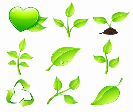 simsearch:400-04144101,k - Vector illustration of green ecology nature floral icon set Stock Photo - Budget Royalty-Free & Subscription, Code: 400-04126159