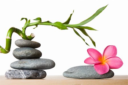 spanishalex (artist) - Stone stacks with tropical flowers and lucky bamboo Stock Photo - Budget Royalty-Free & Subscription, Code: 400-04137822