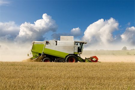 simsearch:649-06401239,k - Combine harvesting corn in a large field Stock Photo - Budget Royalty-Free & Subscription, Code: 400-04131814