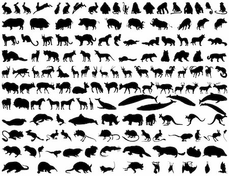 simsearch:400-04280168,k - Big collection of different illustration vector animals Stock Photo - Budget Royalty-Free & Subscription, Code: 400-04144278