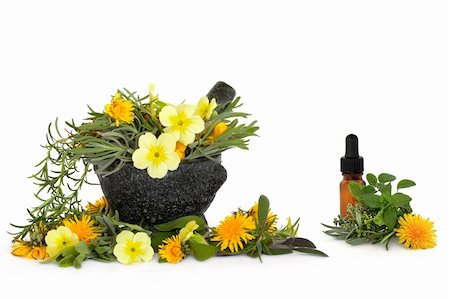 essential - Wild flower and herb leaf selection  with a granite mortar with pestle and aromatherapy essential oil glass bottle, over white background. Stock Photo - Budget Royalty-Free & Subscription, Code: 400-04144567