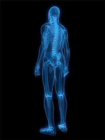 3d rendered x-ray illustration of a human skeleton Stock Photo - Budget Royalty-Free & Subscription, Code: 400-04154397