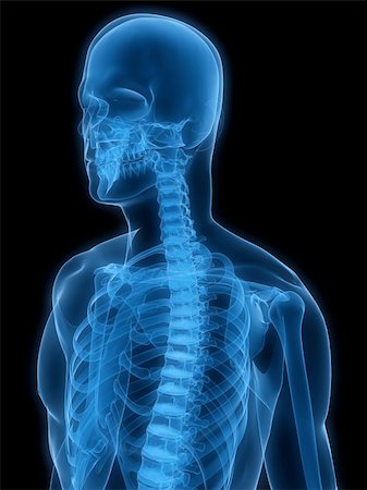 3d rendered x-ray illustration of a human skeleton Stock Photo - Budget Royalty-Free & Subscription, Code: 400-04154399