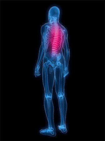 3d rendered x-ray illustration of a human skeleton with highlighted spine Stock Photo - Budget Royalty-Free & Subscription, Code: 400-04154406