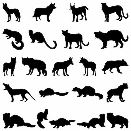 simsearch:400-04394183,k - Collection of wolves and martens silhouettes. Vector illustration. Stock Photo - Budget Royalty-Free & Subscription, Code: 400-04150445