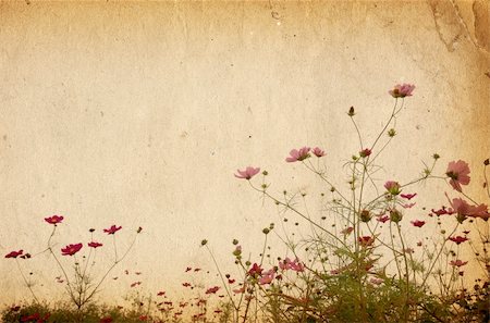 painterly - old-fashioned artistic flower Stock Photo - Budget Royalty-Free & Subscription, Code: 400-04152144