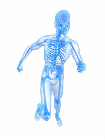 skeleton sport - 3d rendered x-ray illustration of a running skeleton Stock Photo - Budget Royalty-Free & Subscription, Code: 400-04164567