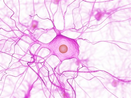 3d rendered illustration of a nerve cell Foto de stock - Super Valor sin royalties y Suscripción, Código: 400-04166420