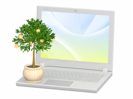 simsearch:700-05452103,k - Monetary tree and laptop - isolated over white Stock Photo - Budget Royalty-Free & Subscription, Code: 400-04176414