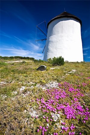 simsearch:400-05319608,k - A shot of a windmill on a summers day with beautiful blue skies in the background and purple flowers in the foreground Stock Photo - Budget Royalty-Free & Subscription, Code: 400-04176559