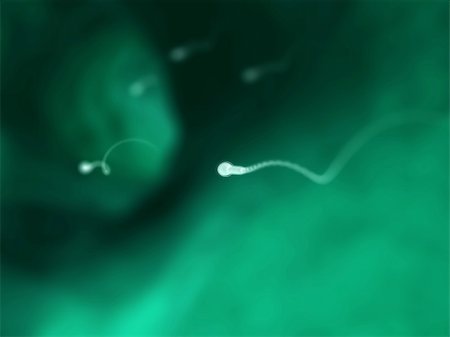 3d rendered close up of isolated sperm cells Stock Photo - Budget Royalty-Free & Subscription, Code: 400-04176822