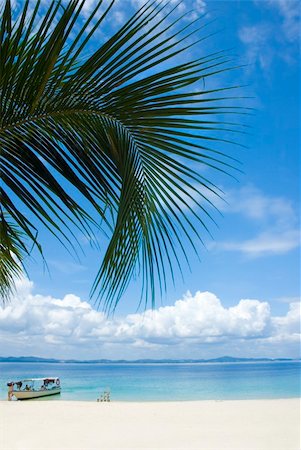 simsearch:400-03991814,k - beach with coconut trees Stock Photo - Budget Royalty-Free & Subscription, Code: 400-04177300