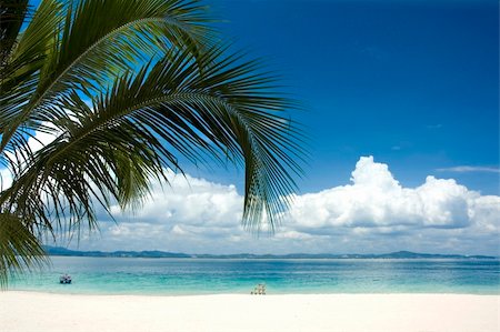 simsearch:400-03991814,k - beach with coconut trees Stock Photo - Budget Royalty-Free & Subscription, Code: 400-04177301