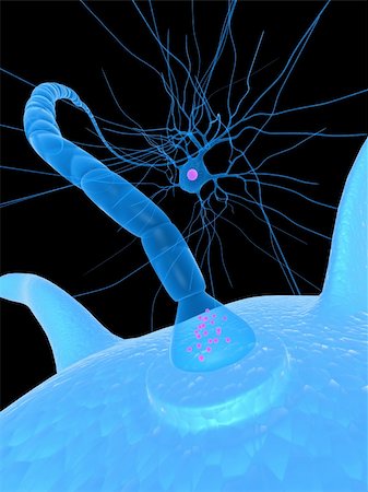 3d rendered close up of receptor and nerve cell Stock Photo - Budget Royalty-Free & Subscription, Code: 400-04178757