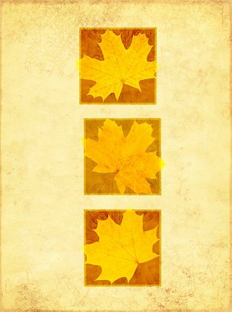 simsearch:400-04544818,k - Grunge background with maple leaves Photographie de stock - Aubaine LD & Abonnement, Code: 400-04171670