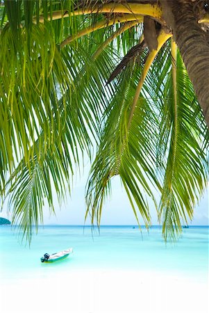 simsearch:400-03991814,k - blue beach with coconut as foreground at terengganu island,malaysia Stock Photo - Budget Royalty-Free & Subscription, Code: 400-04171769