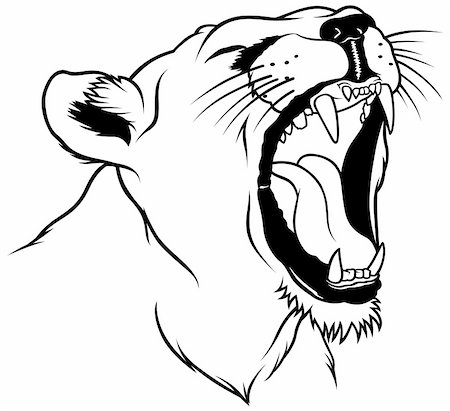 simsearch:400-04109301,k - Lioness 2010_01, Lioness Head - Hand Drawn illustration Stock Photo - Budget Royalty-Free & Subscription, Code: 400-04171846