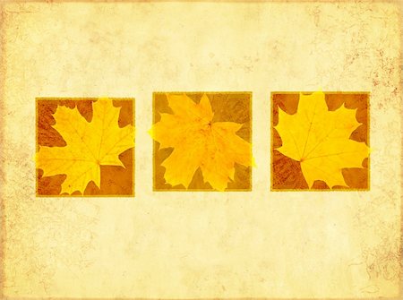 simsearch:400-04544818,k - Grunge background with maple leaves Photographie de stock - Aubaine LD & Abonnement, Code: 400-04172375