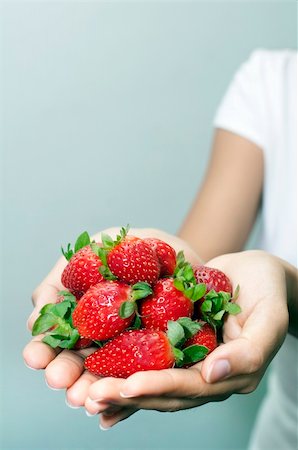 simsearch:400-05370991,k - an asian hand holding a lot of harvested strawberries Stock Photo - Budget Royalty-Free & Subscription, Code: 400-04185211