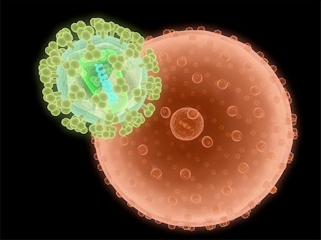 simsearch:400-04154364,k - 3d rendered illustration of hi virus infecting cell Stock Photo - Budget Royalty-Free & Subscription, Code: 400-04189458