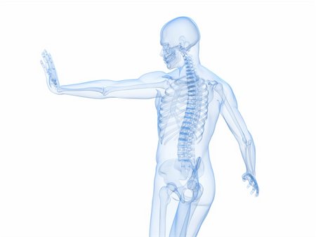 simsearch:400-04154364,k - 3d rendered illustration of a male skeleton Stock Photo - Budget Royalty-Free & Subscription, Code: 400-04189486