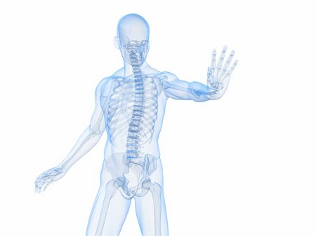 simsearch:400-04154364,k - 3d rendered illustration of a male skeleton Stock Photo - Budget Royalty-Free & Subscription, Code: 400-04189487