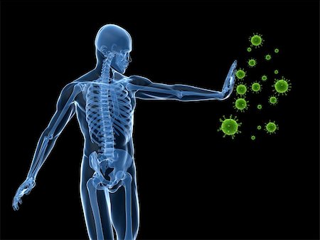 simsearch:400-04154364,k - 3d rendered illustration of a human male skeleton blocking viruses Stock Photo - Budget Royalty-Free & Subscription, Code: 400-04189524