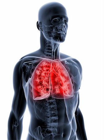 science caricatures - 3d rendered illustration of a transparent body with highlighted lung Stock Photo - Budget Royalty-Free & Subscription, Code: 400-04189651