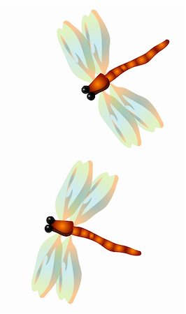 two dragonflies on the white background Stock Photo - Budget Royalty-Free & Subscription, Code: 400-04180440