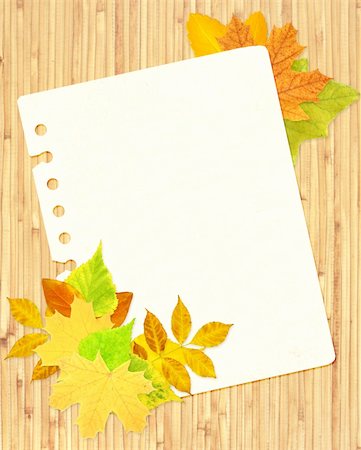 simsearch:400-04544818,k - Japanese reed mat, paper sheet and autumn leafs Photographie de stock - Aubaine LD & Abonnement, Code: 400-04196824