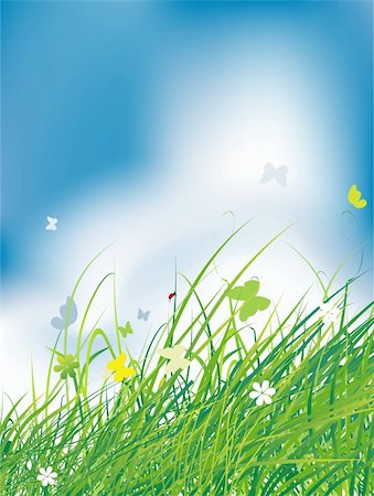 simsearch:400-04597010,k - Green field with butterflies, summer background Stock Photo - Budget Royalty-Free & Subscription, Code: 400-04199562