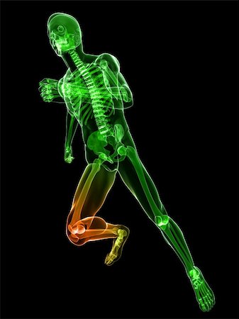 3d rendered illustration of a running skeleton with highlighted knee Stock Photo - Budget Royalty-Free & Subscription, Code: 400-04191170