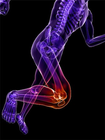 3d rendered illustration of a running skeleton with highlighted knee Stock Photo - Budget Royalty-Free & Subscription, Code: 400-04191171