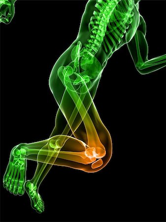 3d rendered illustration of a running skeleton with highlighted knee Stock Photo - Budget Royalty-Free & Subscription, Code: 400-04191172