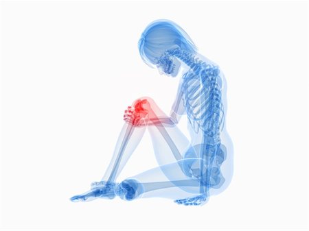 skeletal images 3d - 3d rendered illustration of a sitting female skeleton with highlighted knee Stock Photo - Budget Royalty-Free & Subscription, Code: 400-04191420