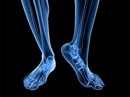 3d rendered illustration of transparent foots with healthy ankles Stock Photo - Budget Royalty-Free & Subscription, Code: 400-04191622