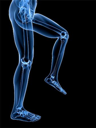 3d rendered illustration of healthy skeletal knees Foto de stock - Super Valor sin royalties y Suscripción, Código: 400-04191634