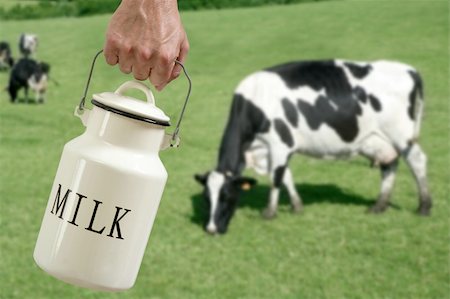 simsearch:400-05669603,k - Milk pot urn on farmer hand with cow in meadow background Photographie de stock - Aubaine LD & Abonnement, Code: 400-04204975